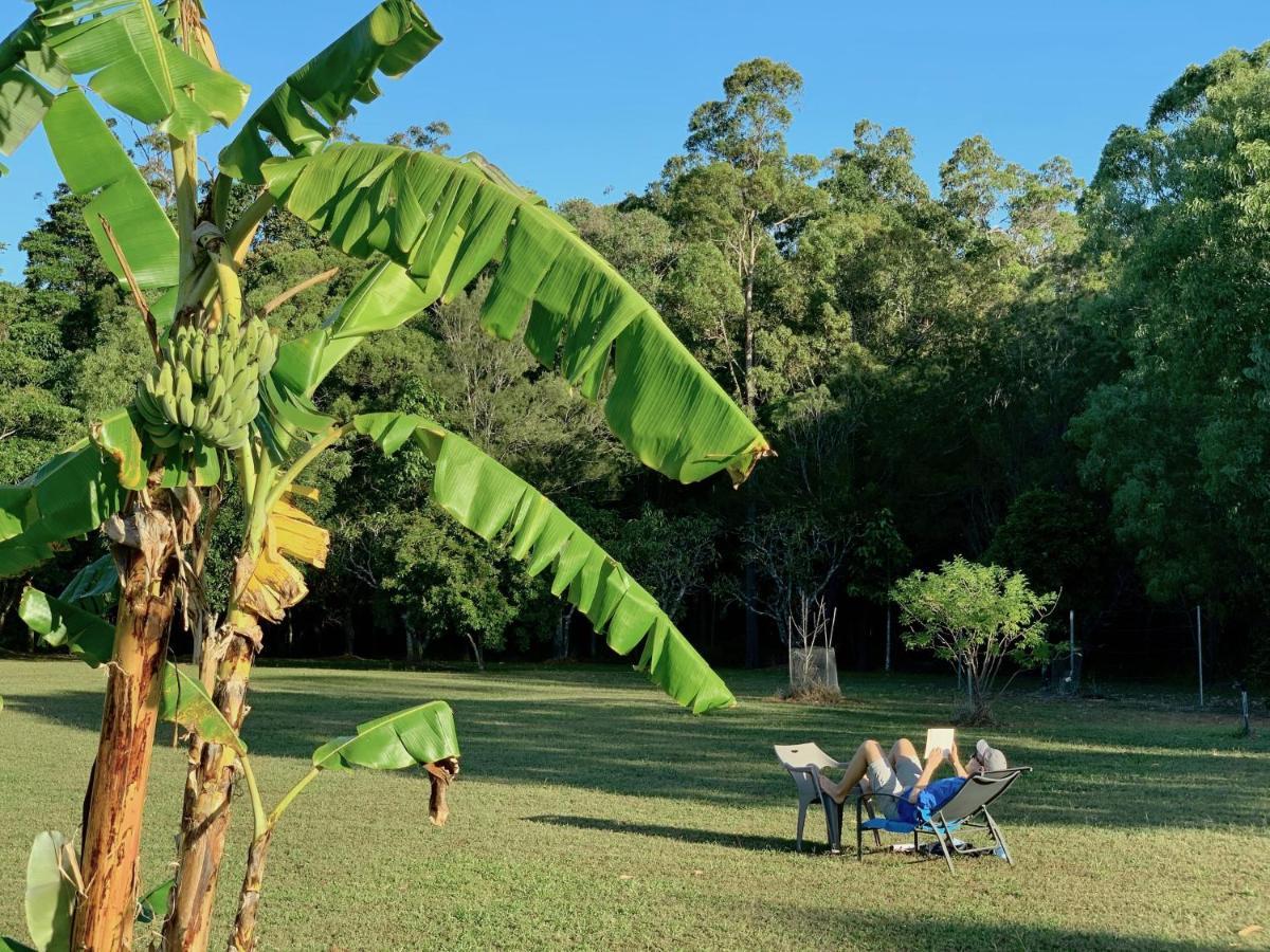Cedar Park Rainforest Resort Koah Buitenkant foto