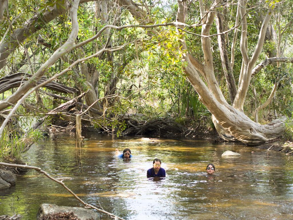 Cedar Park Rainforest Resort Koah Buitenkant foto