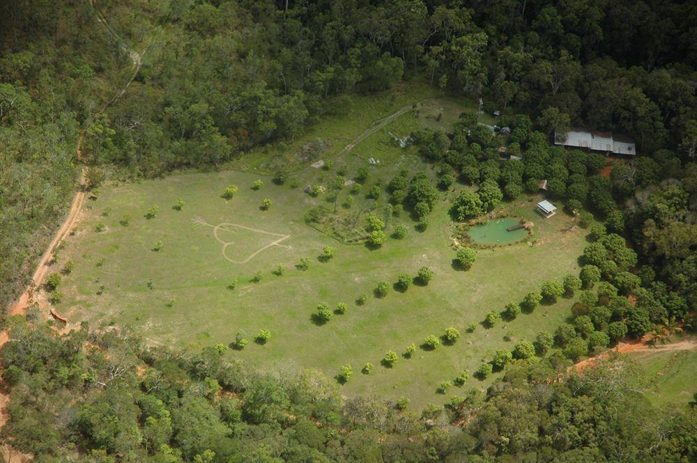 Cedar Park Rainforest Resort Koah Buitenkant foto