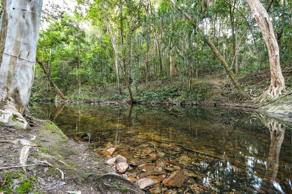 Cedar Park Rainforest Resort Koah Buitenkant foto