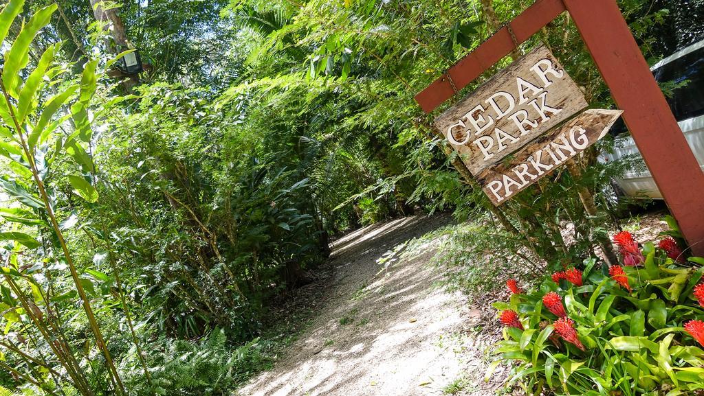 Cedar Park Rainforest Resort Koah Buitenkant foto