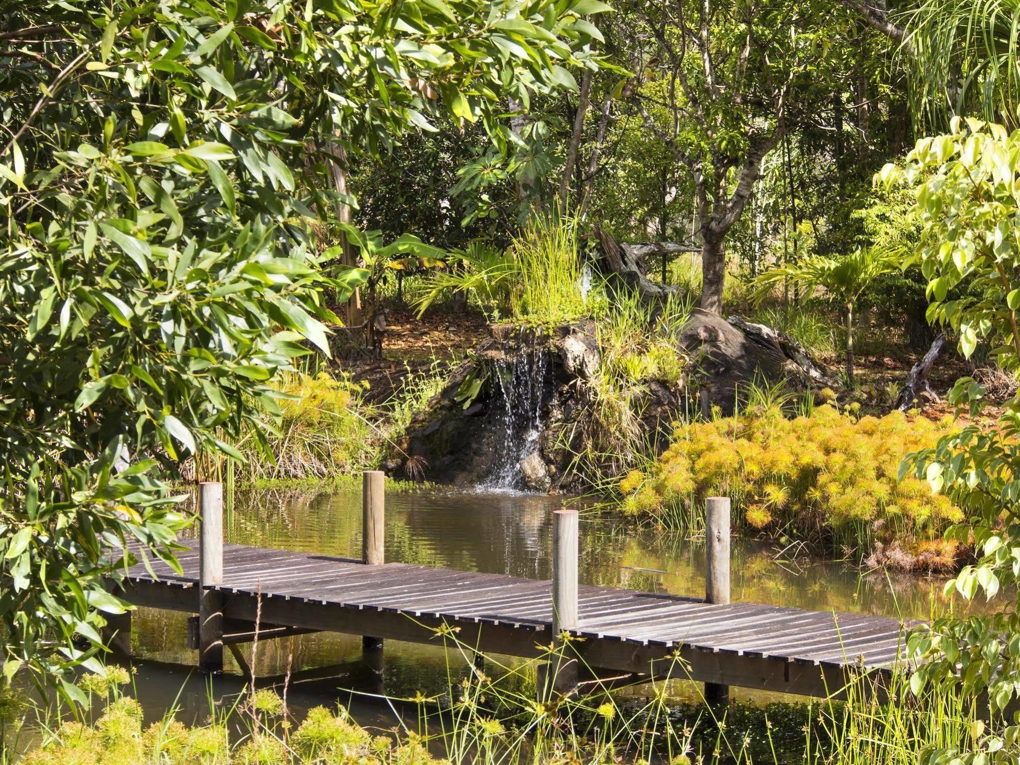Cedar Park Rainforest Resort Koah Buitenkant foto