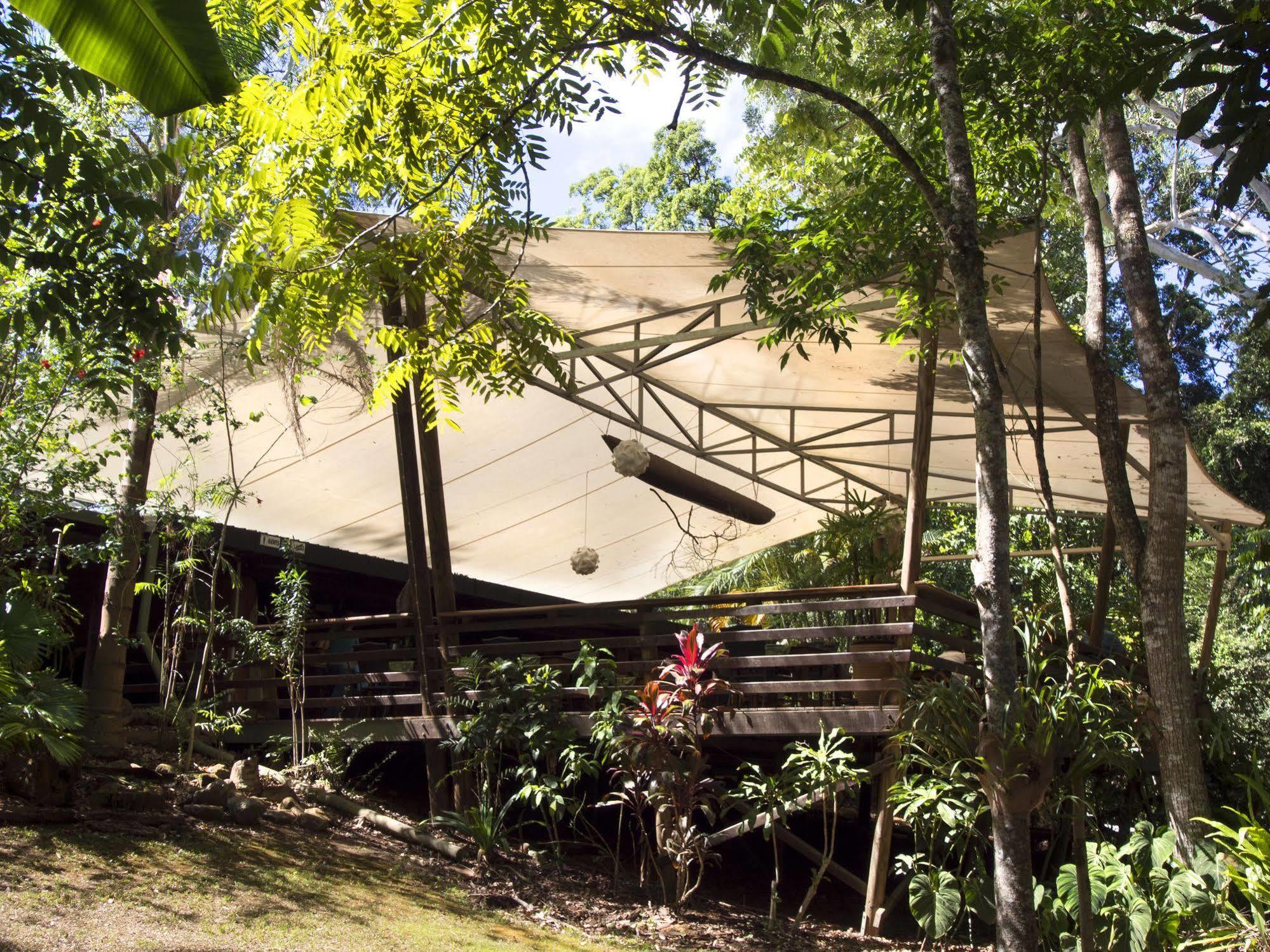 Cedar Park Rainforest Resort Koah Buitenkant foto