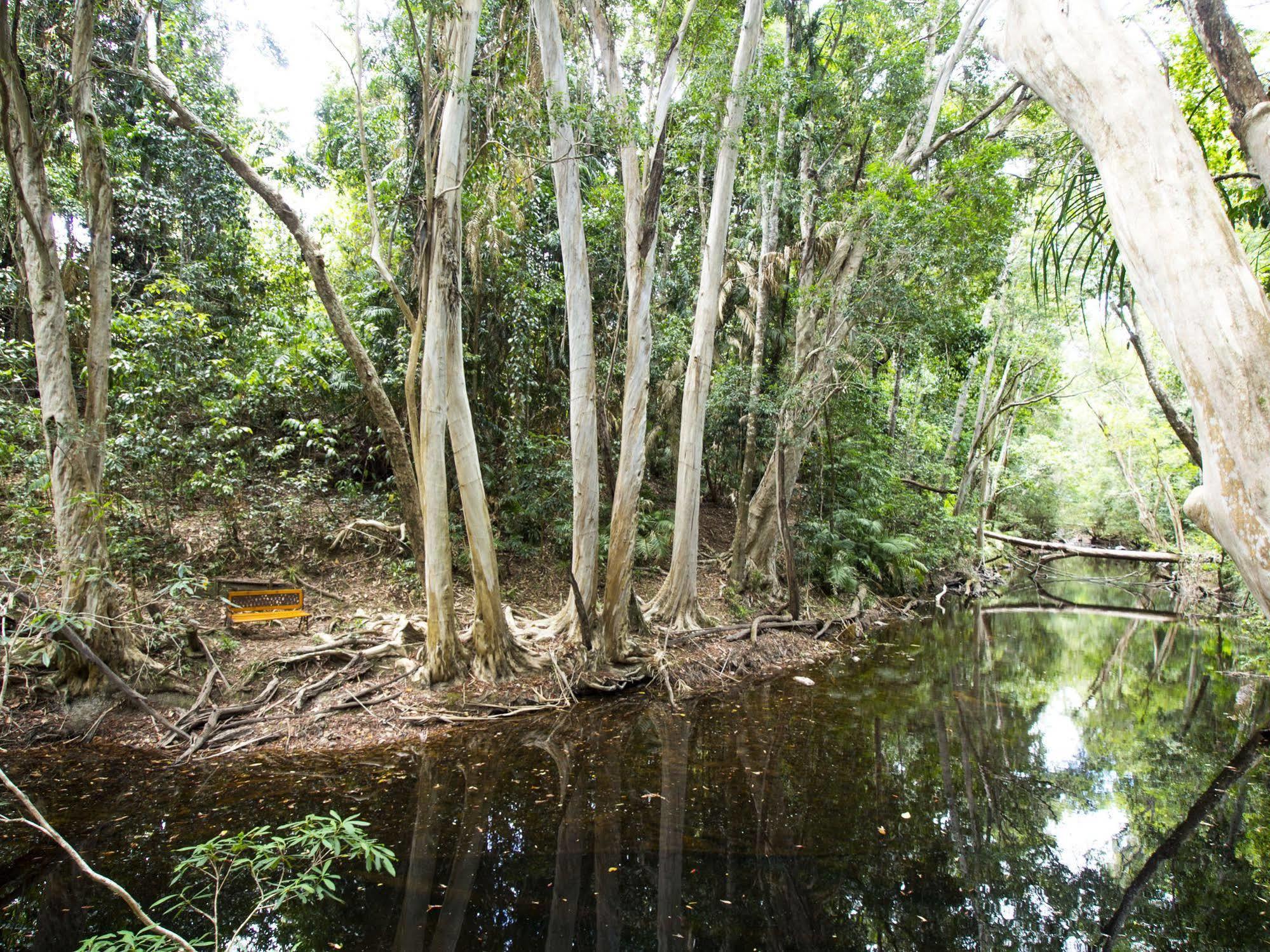 Cedar Park Rainforest Resort Koah Buitenkant foto